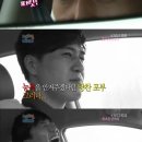 팀고도 이미지