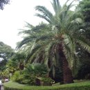 일출랜드식물원 이미지