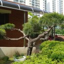 소나무경로당 이미지