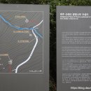제주 신례리 왕벚나무 자생지 티스토리