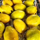 파인드 핏 이미지