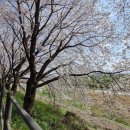 조천 산책로화장실 이미지