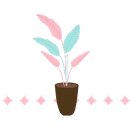 파니퍼니홈 이미지