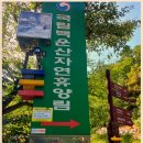 휴양림길 이미지