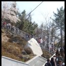 365계단 Daum카페