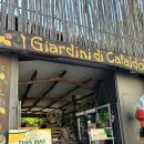 금주농장 | 🍋 소렌토 레몬첼로 무료 시음 명소! I Giardini di Cataldo 레몬샤베트 레몬젤라토 후기