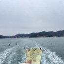 욕지블루 이미지