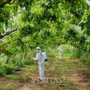 전남대학교 식물방역대학원 이미지