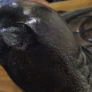 거북솥삼겹살 이미지