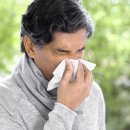 봄꽃한의원 이미지