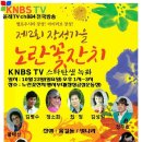 장성 가을 노란꽃축제 (황룡강변) 이미지