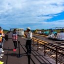 제주관광대학교 이미지