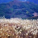 2013년 10월 20일(일요일) 정선군 민둥산 억새밭 산행 안내 이미지