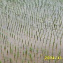 순이농장 이미지