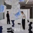 푸른어망 이데일리