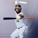 로하스밸리 이미지