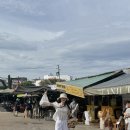 지상낙원 | [베트남/나트랑] 깜란 숙소 여기가 지상낙원? '더아남 리조트' 후기 🏡