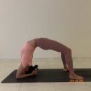 판타스틱 코인노래연습장 중원구청점 이미지