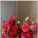 라라쉼터 이미지