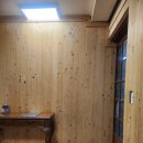 솔토장어 이미지