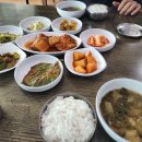 나라애견 송탄점 이미지