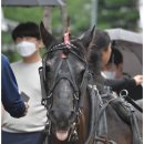 그레이스 PC방 이미지