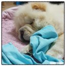 덕산이불