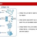 티에스솔루션