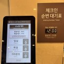 노벨리조트 | 표선 소노캄 제주 스위트 프리미어 가든오션뷰 더블 취사룸 뷰맛집 내돈내산 후기 소노벨 제주 비교