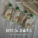 디노 | 100% NFC 감귤 착즙주스, 오가닉디노 제주디노 후기