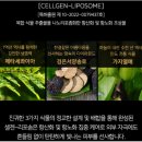 떼즈블랑 이미지