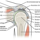 안산늘봄한의원 이미지
