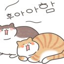 다나아마취통증의학과의원 이미지