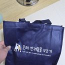 은해반려동물보조기 이미지