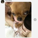 말랑말랑 이미지