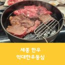 억대한우등심 | 도담동 맛집 세종 한우 억대한우등심