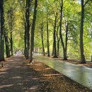 Promenade- 이미지