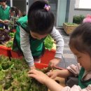 용강동주민센터 이미지