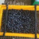 밤나무골농장 이미지