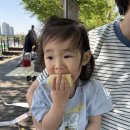 안성마르페떡농원 | 2026년 5월의 기록 #1
