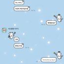 [12월 재능나눔] 크리스마스 생화 트리 만들기 | 12월의 다짐 : 내일은 더 재밌게 살거야 어제의 내가 질투할 정도로