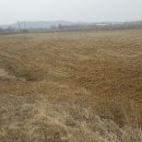 운수대통부동산중개 이미지