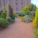 동산가든 | 제주 허브동산 후기, 표선에서 엄마와 뚜벅이로 다녀온 정원 산책