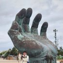 구룡포산오징어회식당 | 호미곶애견동반식당 구룡포대게 새천년회대게 솔직후기