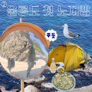 크로바한식뷔페 | [울릉도백패킹] ➁ 관음도·천부·나리분지 뚜벅이 노지캠핑 여행기