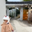 서호동-30 | 제주도 서귀포 서호동 브런치 카페 '식물집카페'