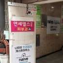 나이브 트래블러 이미지