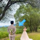 나무한그루 | W. [웨딩촬영] 라뮤즈스튜디오 야외촬영 후기 2편 (나무한그루, 물의정원 컷)