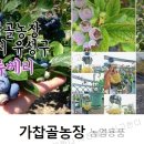 약수농장 이미지