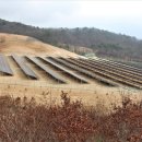 대득목장 이미지